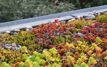 the cost of East Green green roof installation