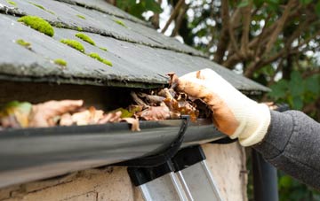 gutter cleaning East Green