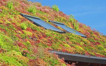 East Green living roof systems