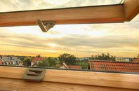 rated East Green roof window companies